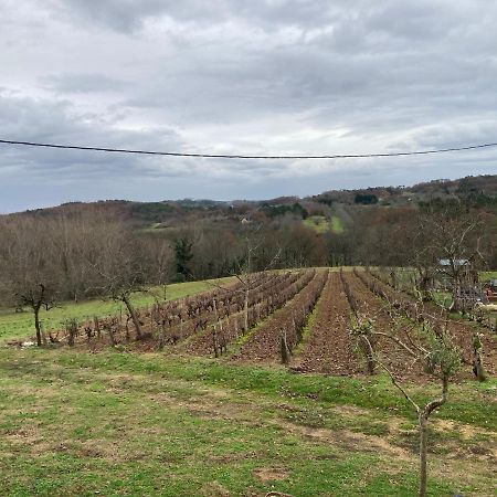 Willa Le Palmier Castelnaud La Chapelle Zewnętrze zdjęcie